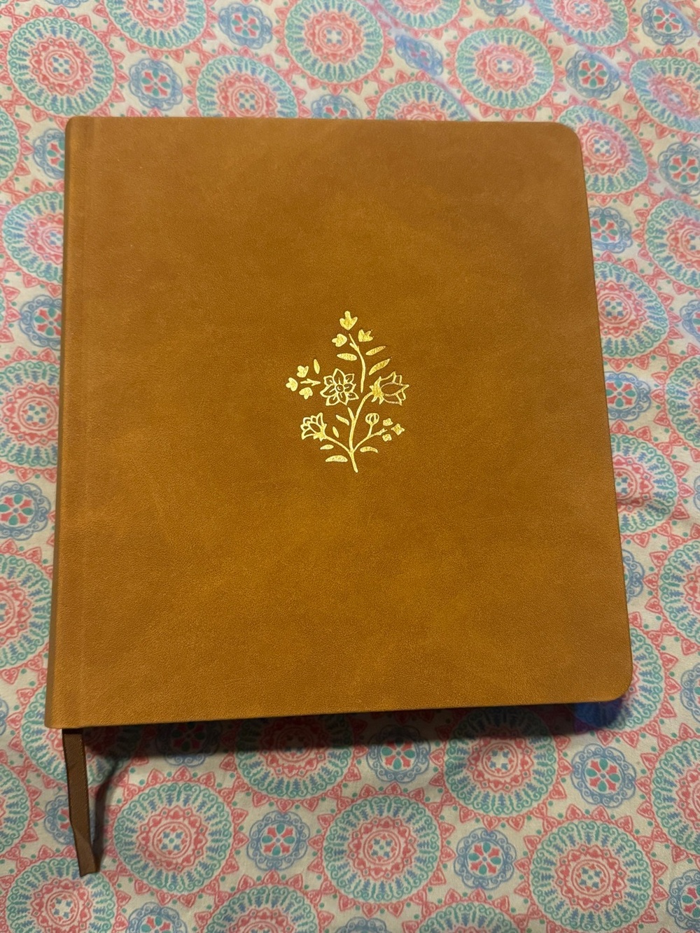 ESV Journaling Study Bible